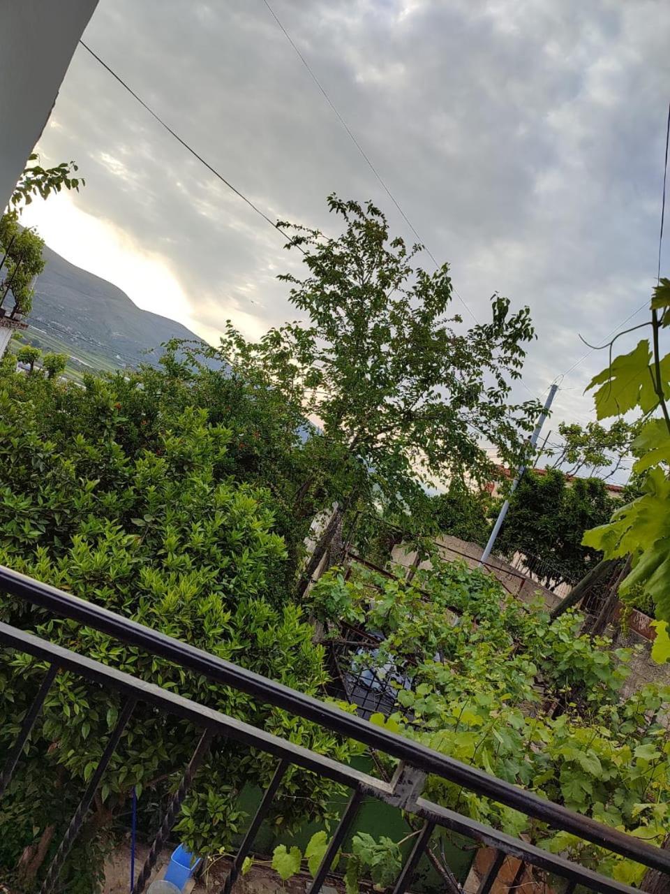 Guest House Eloid Berat Exterior photo