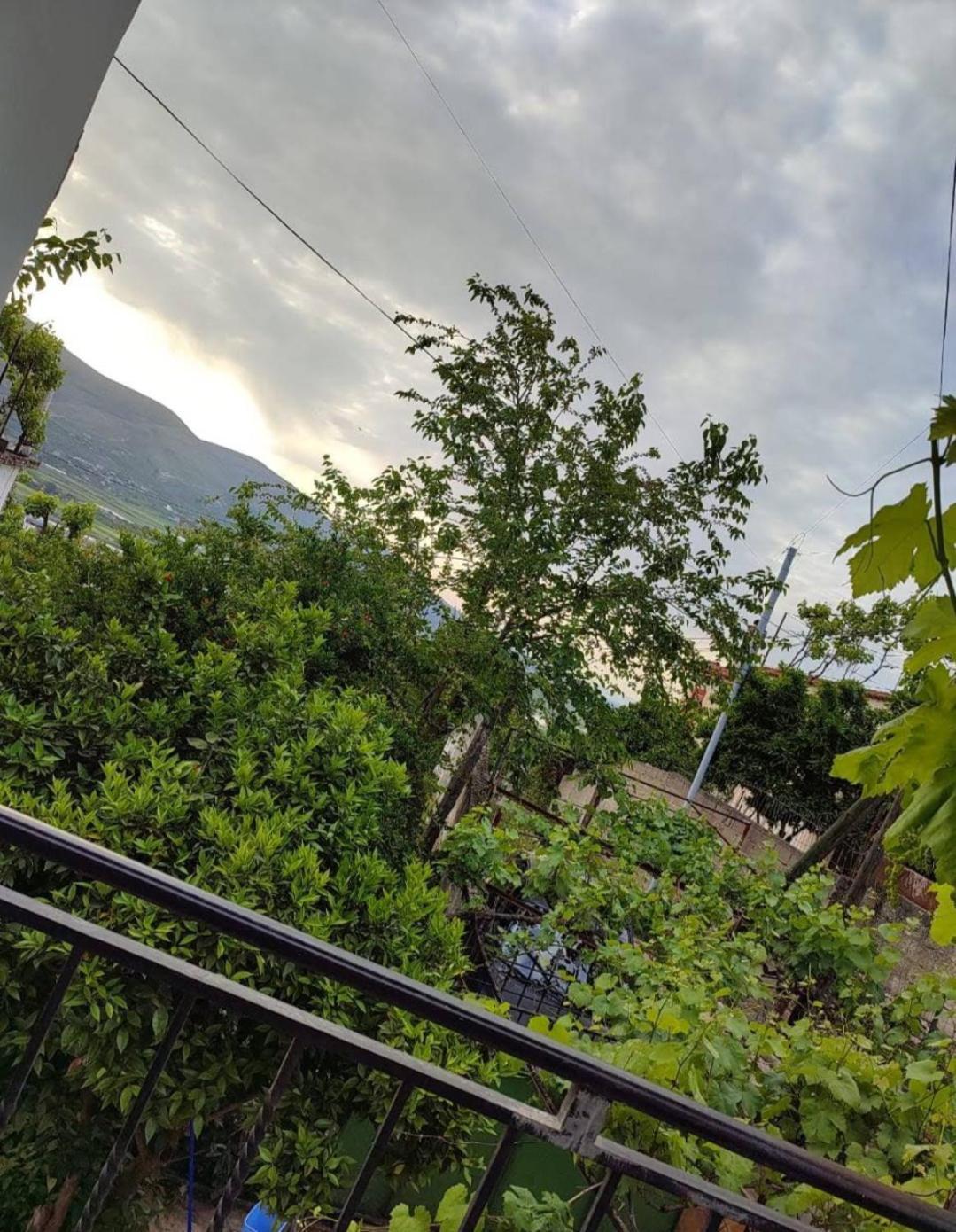 Guest House Eloid Berat Exterior photo